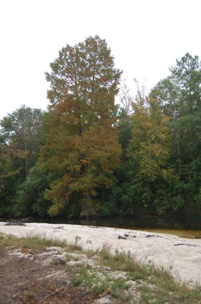 Tux Creek Inn บิล็อกซี ภายนอก รูปภาพ